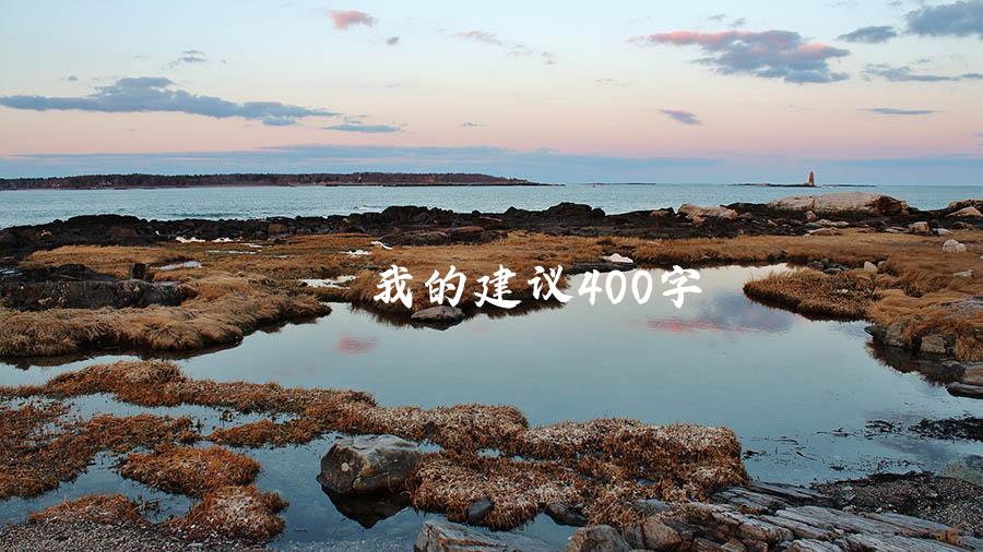 我的建议400字