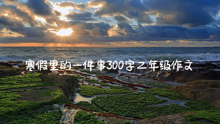 寒假里的一件事300字二年级作文