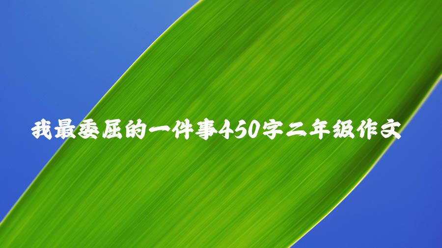 我最委屈的一件事450字二年级作文