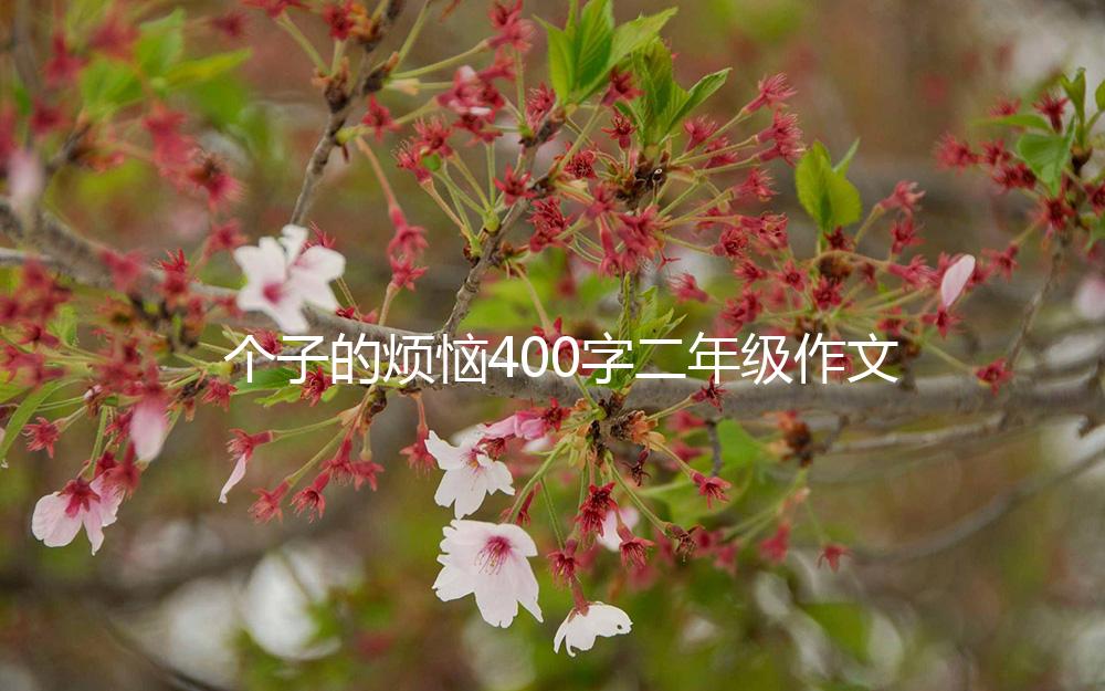 个子的烦恼400字二年级作文