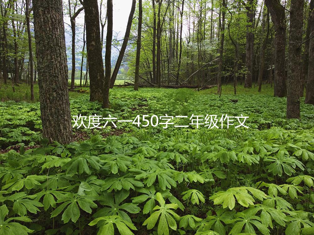 欢度六一450字二年级作文