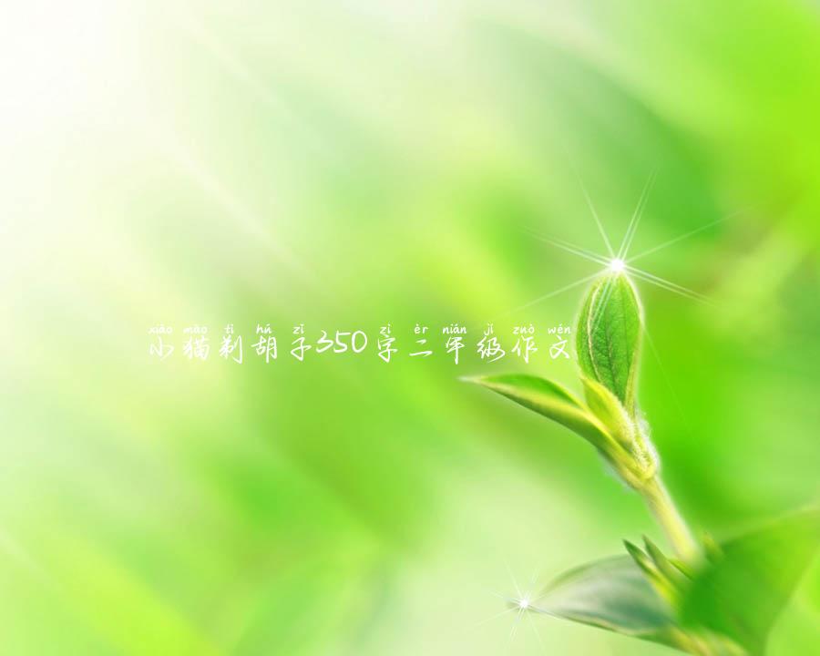 小猫剃胡子350字二年级作文