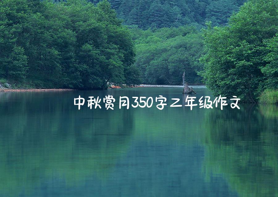 中秋赏月350字二年级作文