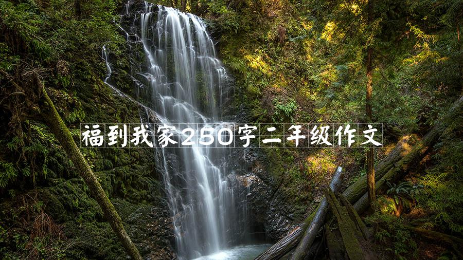 福到我家250字二年级作文