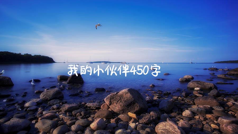 我的小伙伴450字