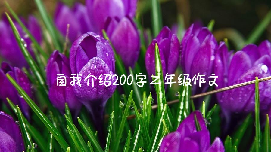 自我介绍200字二年级作文