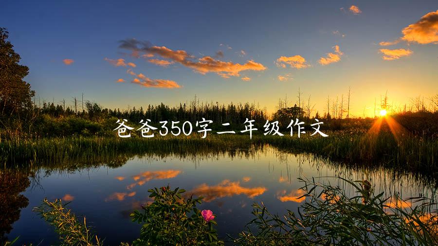 爸爸350字二年级作文