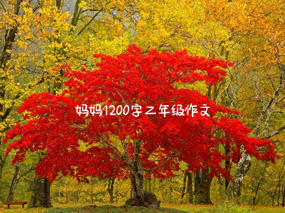 妈妈1200字二年级作文