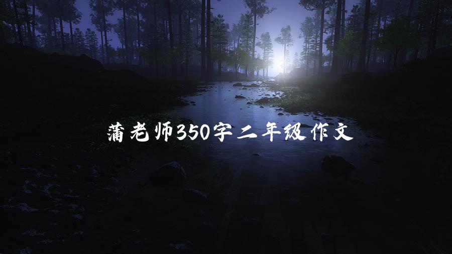 蒲老师350字二年级作文