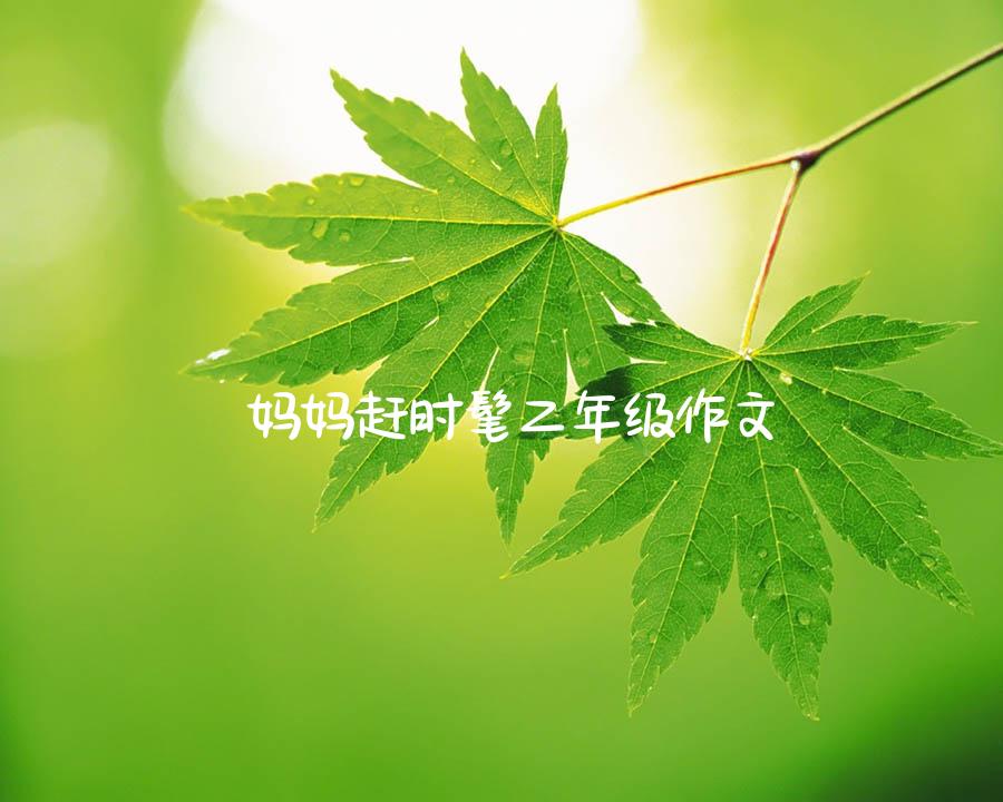 妈妈赶时髦二年级作文