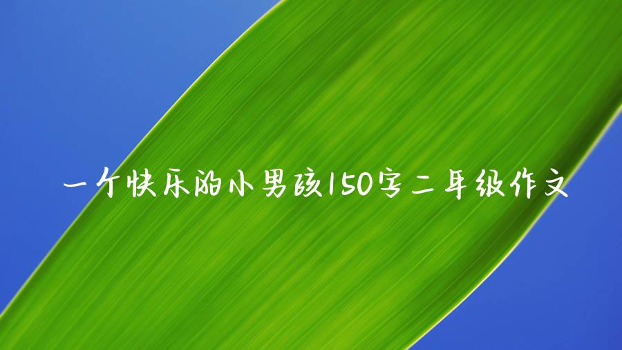 一个快乐的小男孩150字二年级作文