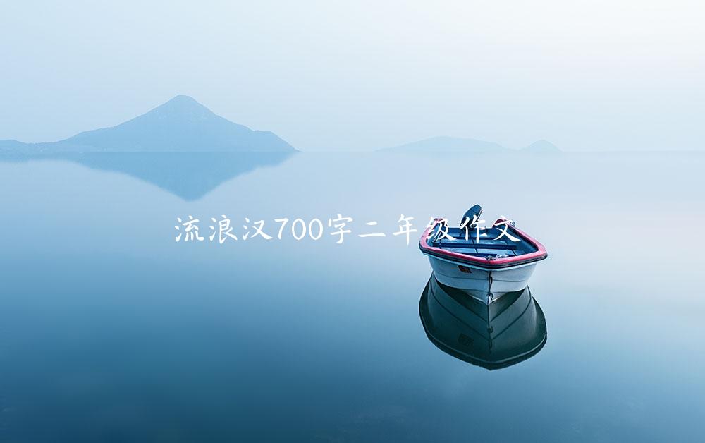 流浪汉700字二年级作文