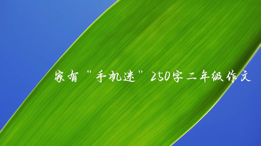 家有“手机迷”250字二年级作文