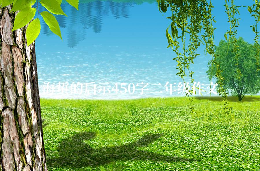 海蜇的启示450字二年级作文