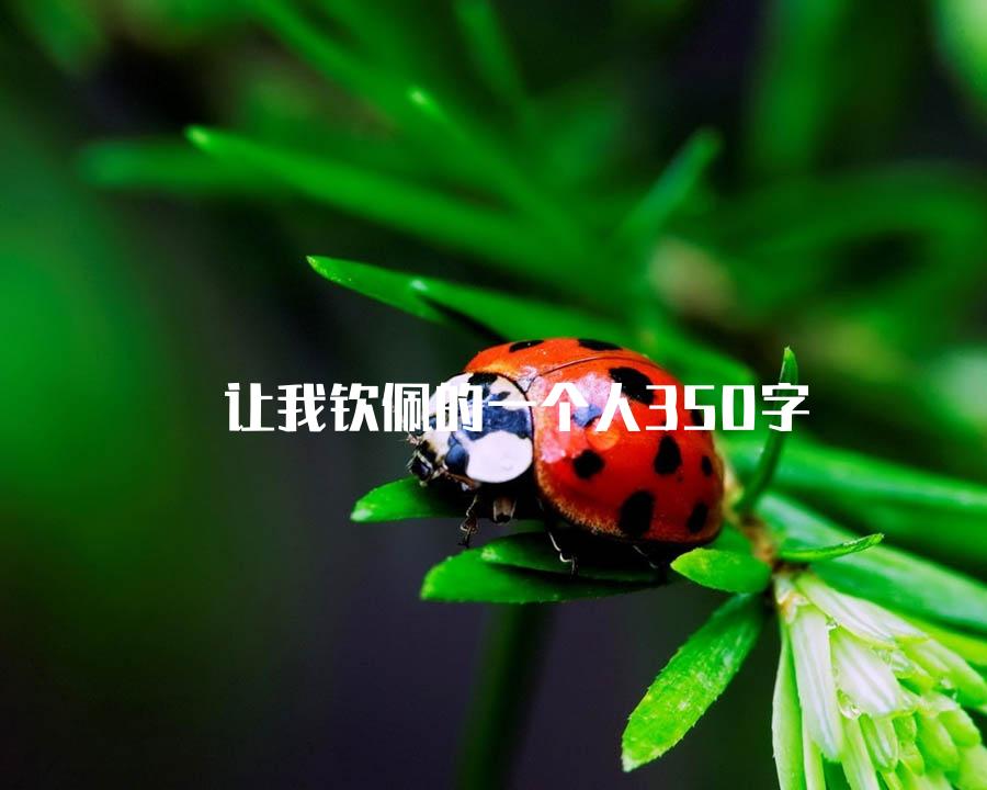 让我钦佩的一个人350字