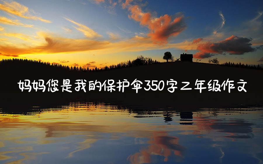 妈妈您是我的保护伞350字二年级作文