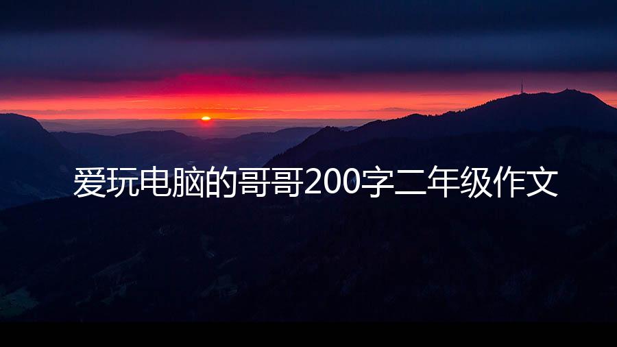 爱玩电脑的哥哥200字二年级作文