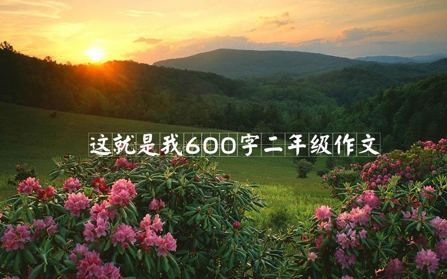 这就是我600字二年级作文