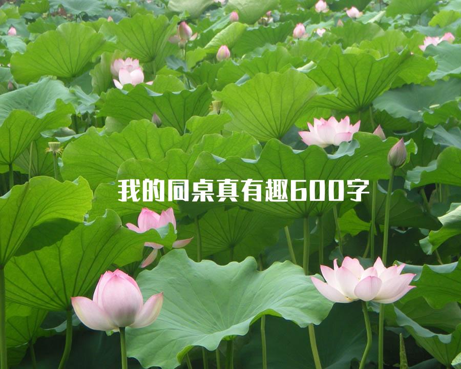 我的同桌真有趣600字