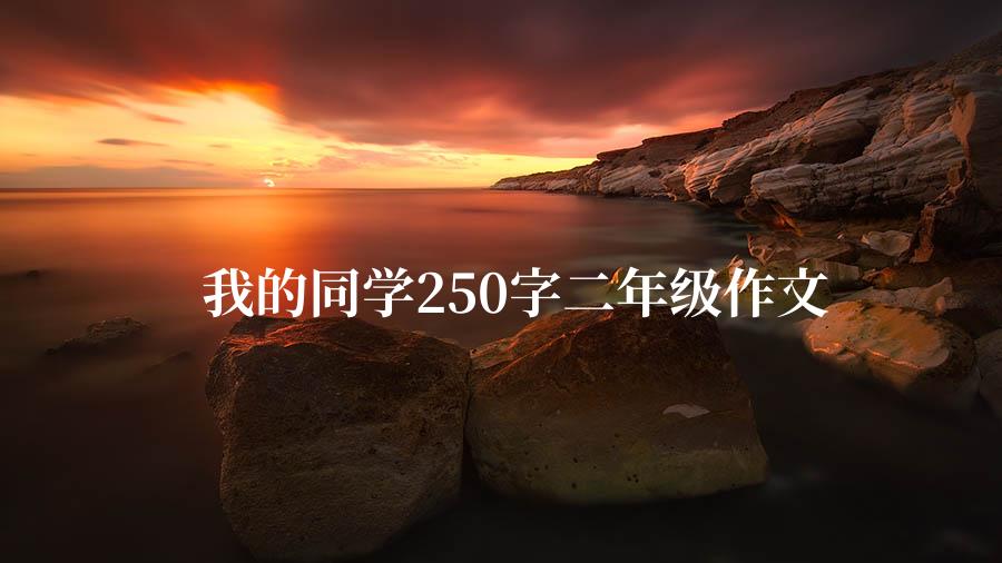 我的同学250字二年级作文