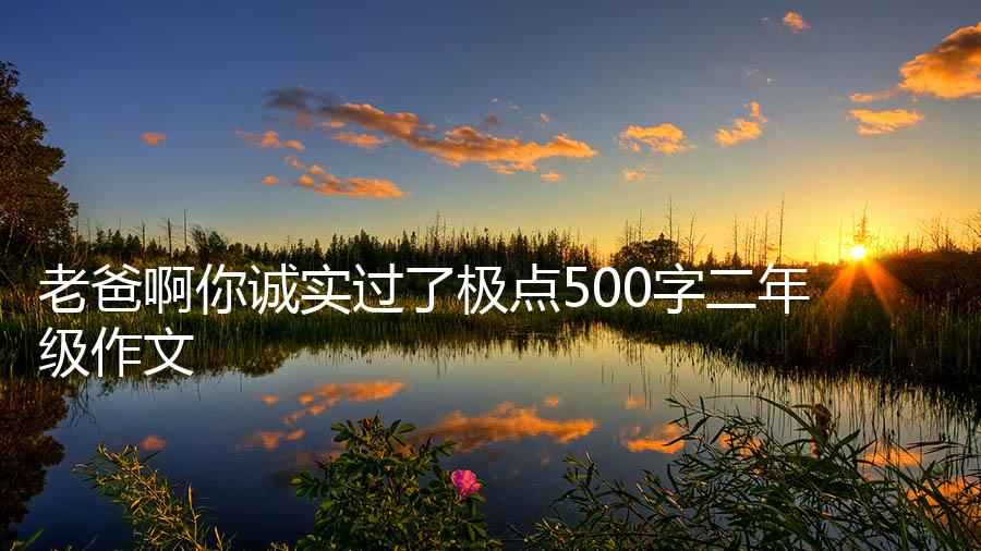 老爸啊你诚实过了极点500字二年级作文