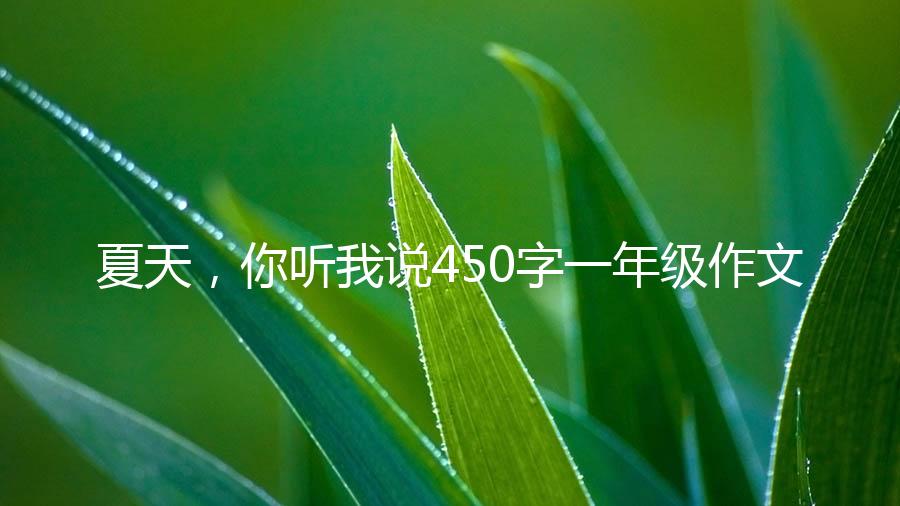 夏天，你听我说450字一年级作文