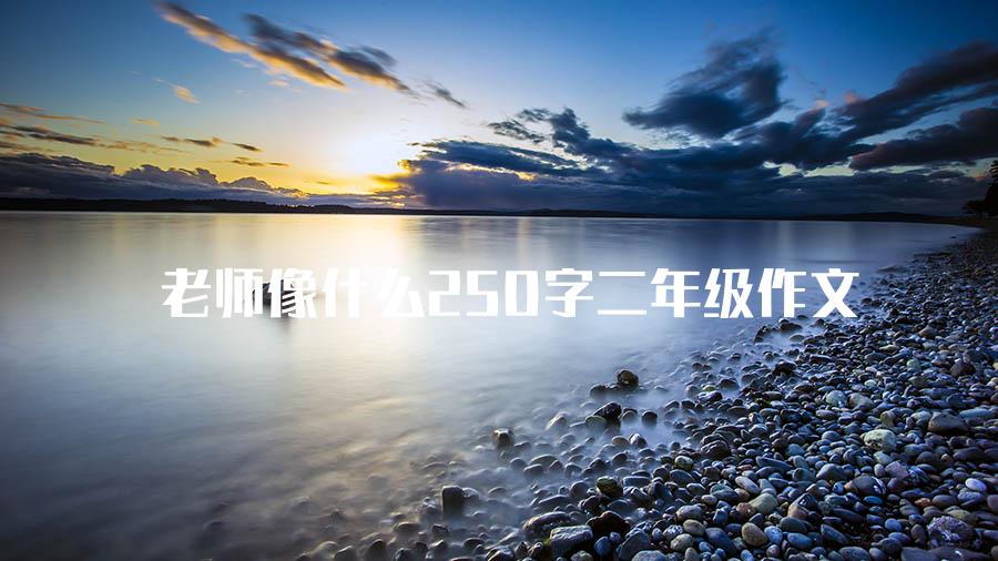 老师像什么250字二年级作文