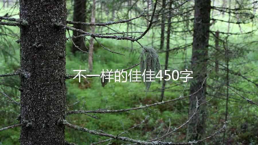 不一样的佳佳450字