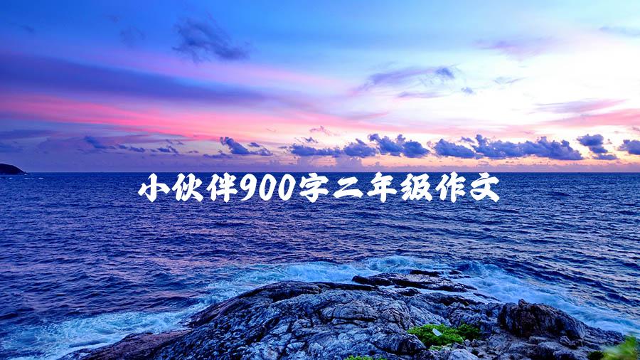 小伙伴900字二年级作文