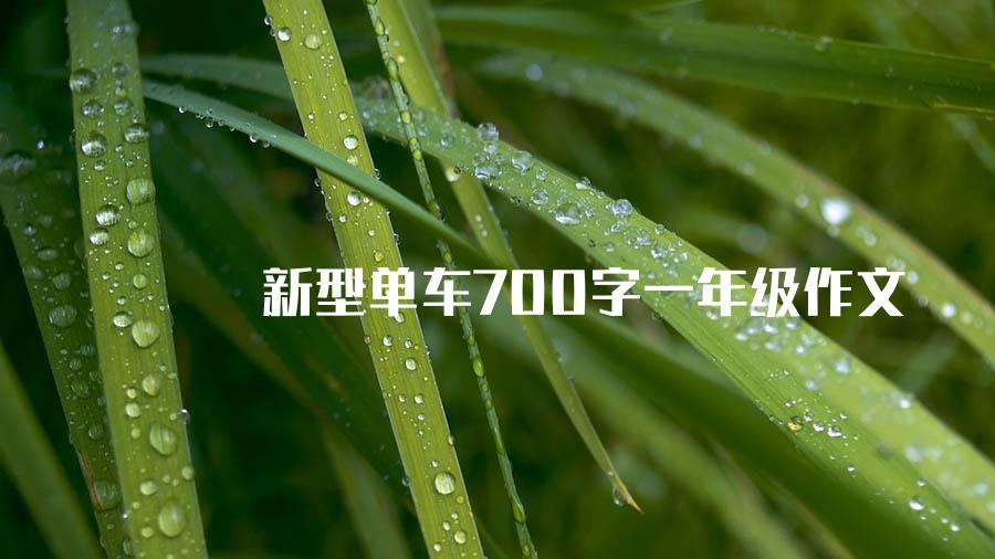 新型单车700字一年级作文