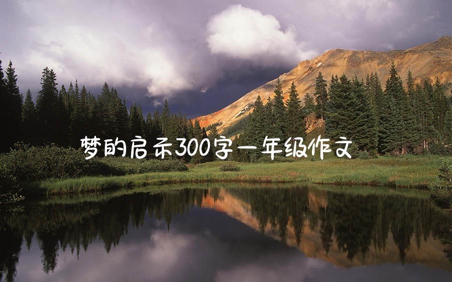 梦的启示300字一年级作文