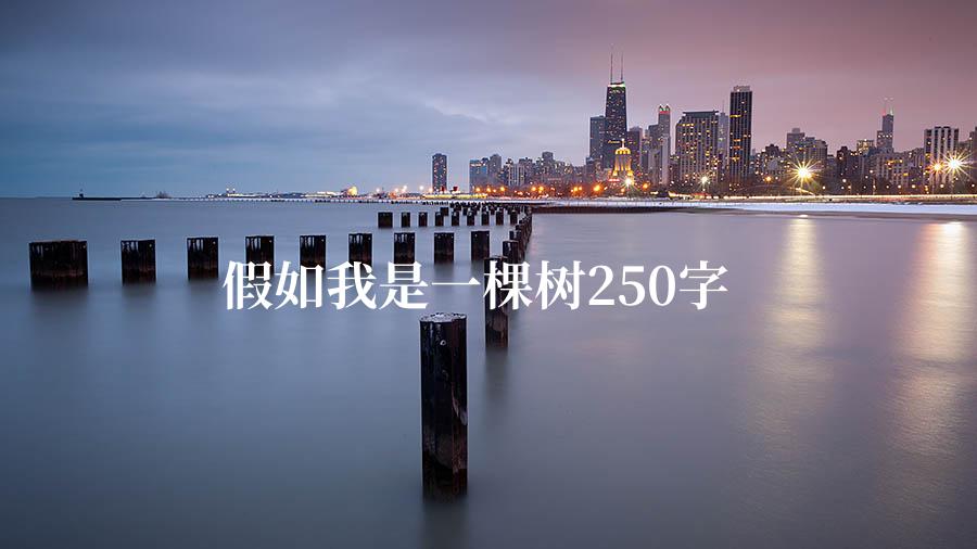 假如我是一棵树250字