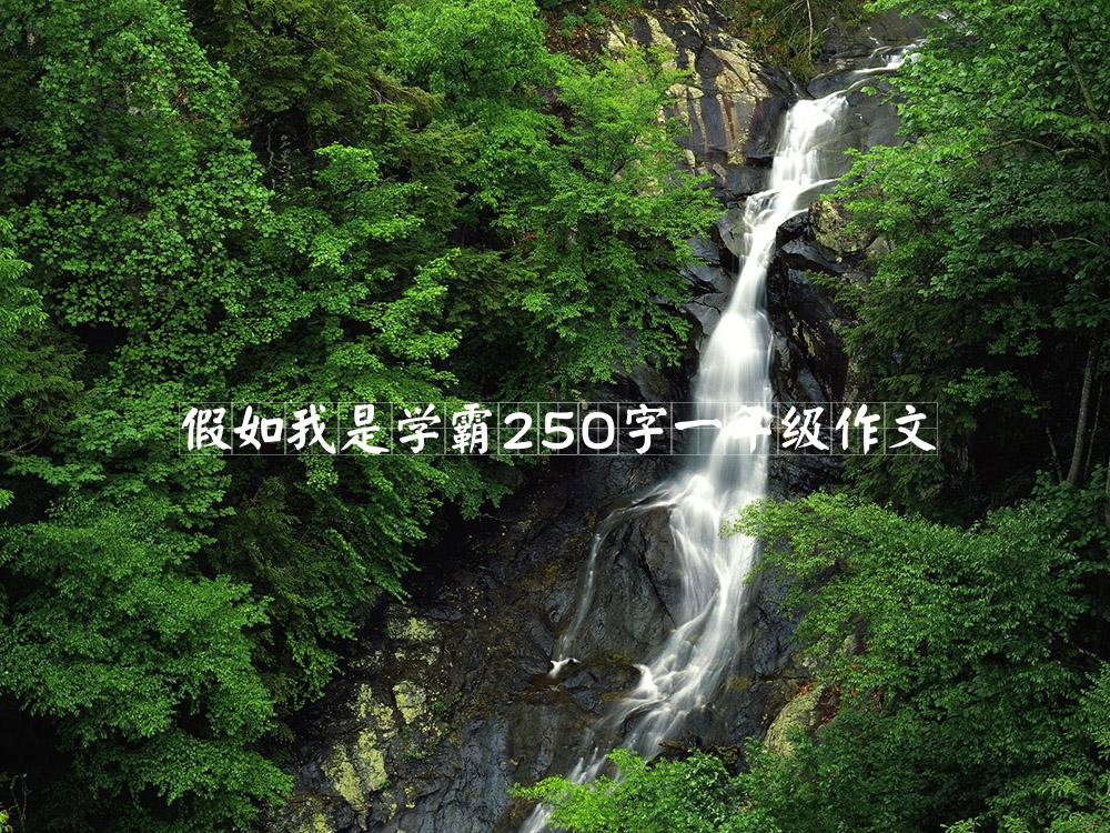 假如我是学霸250字一年级作文