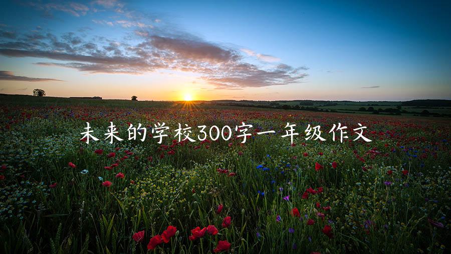 未来的学校300字一年级作文