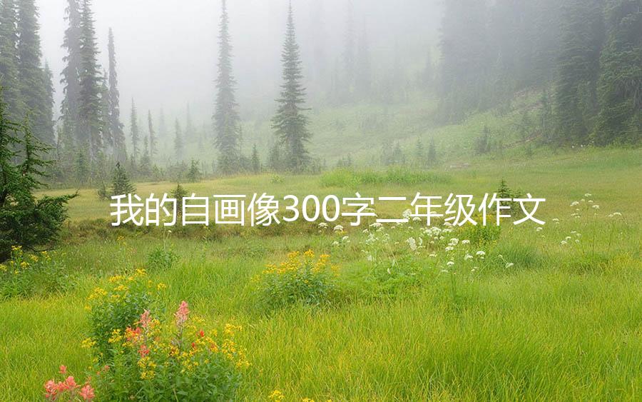 我的自画像300字二年级作文