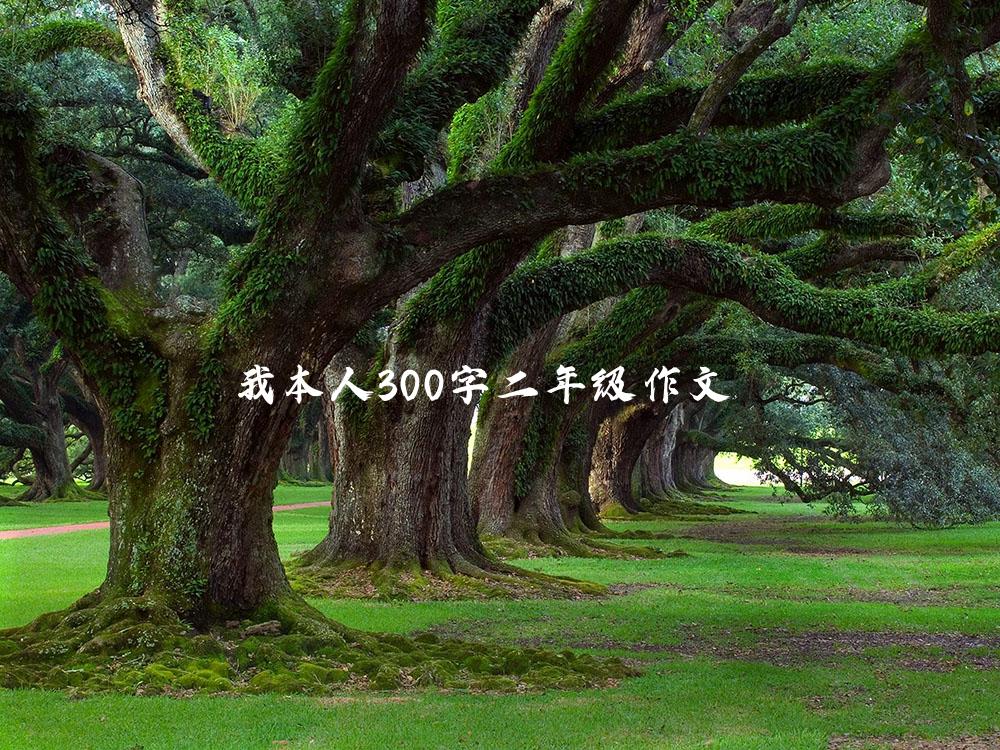 我本人300字二年级作文