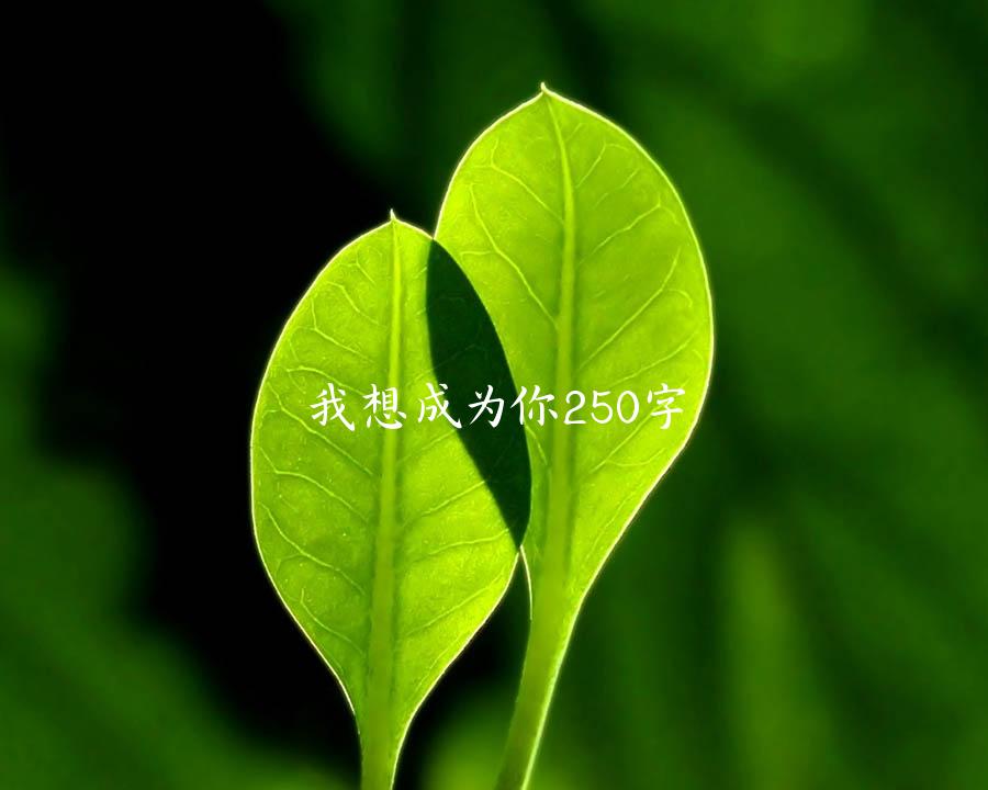 我想成为你250字