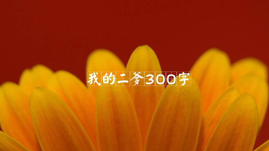 我的二爹300字