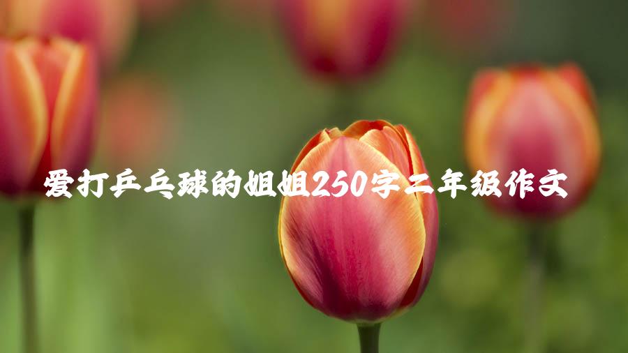 爱打乒乓球的姐姐250字二年级作文