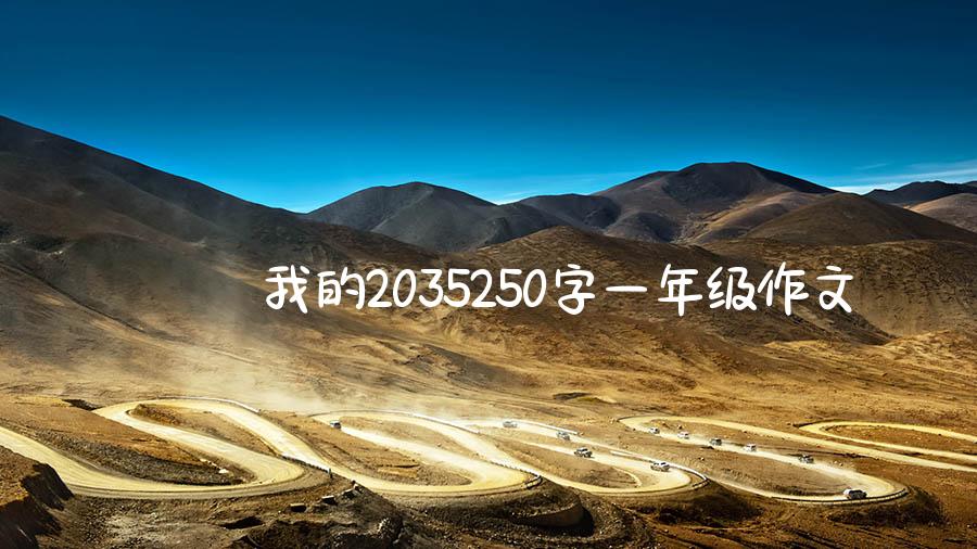 我的2035250字一年级作文