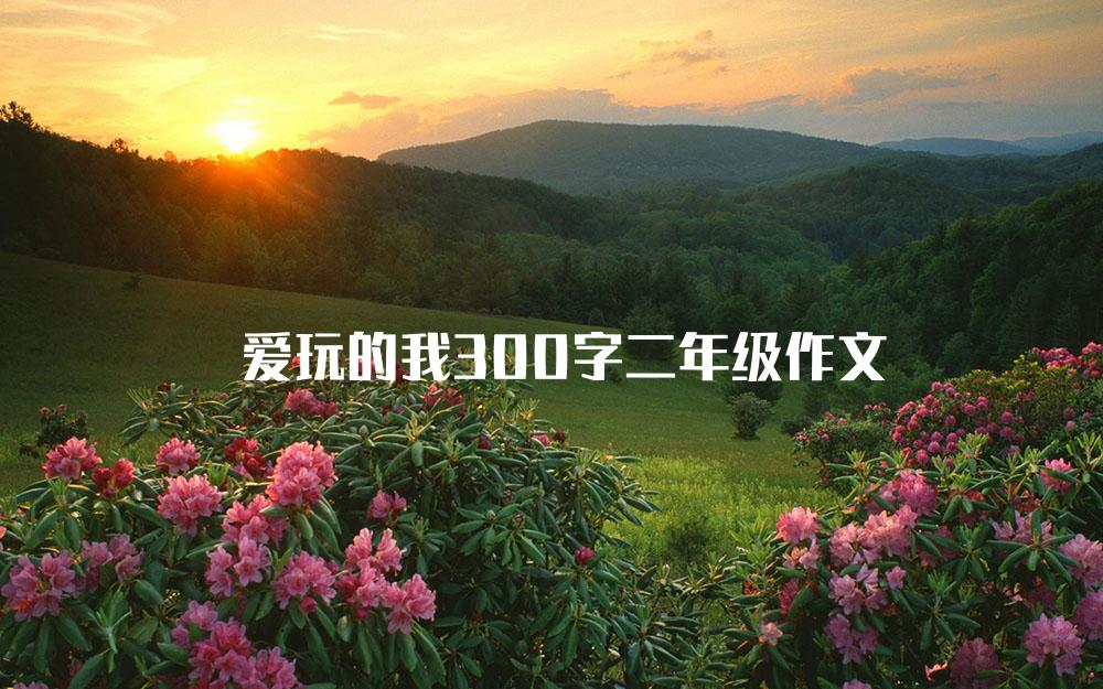 爱玩的我300字二年级作文