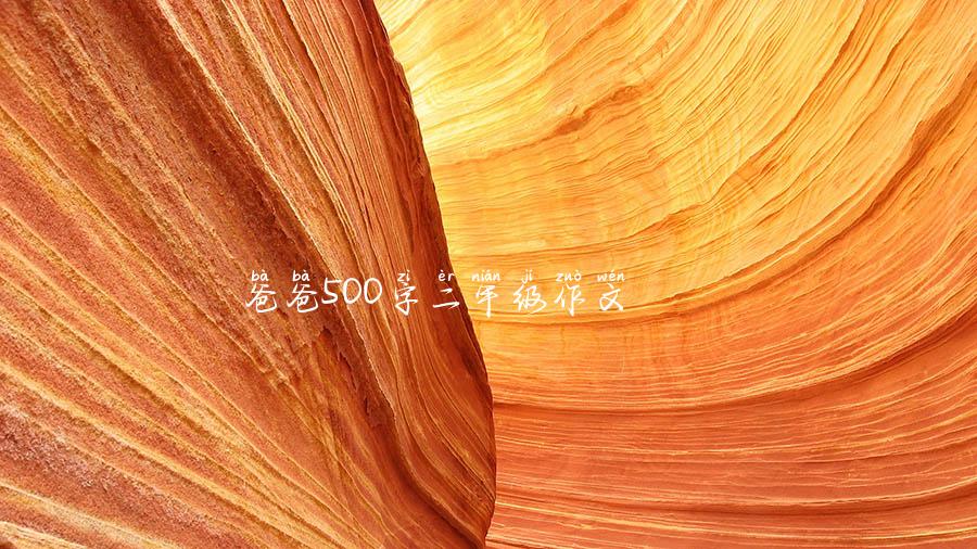 爸爸500字二年级作文