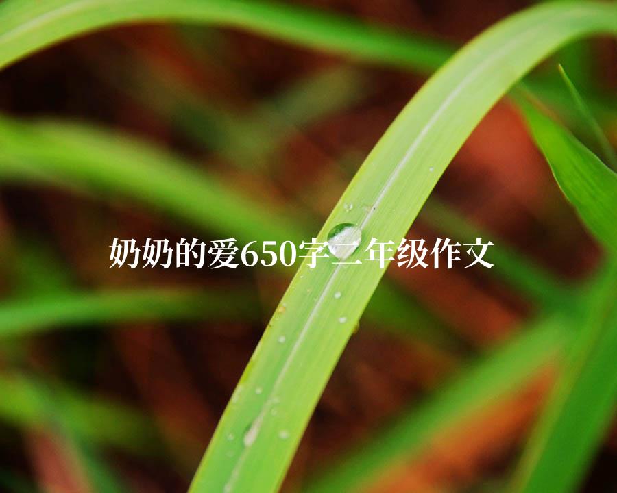 奶奶的爱650字二年级作文