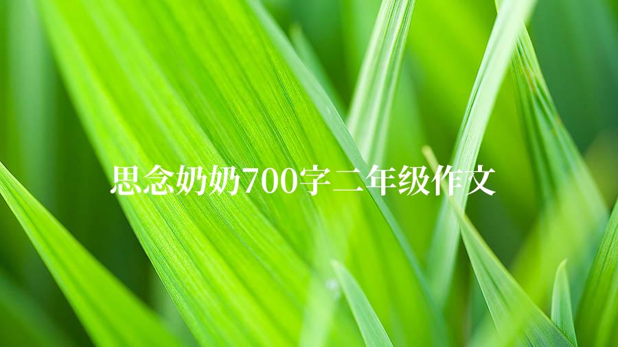 思念奶奶700字二年级作文