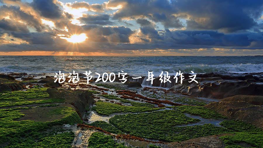 泡泡节200字一年级作文