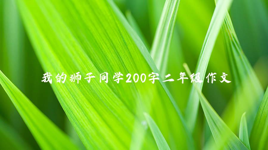 我的狮子同学200字二年级作文