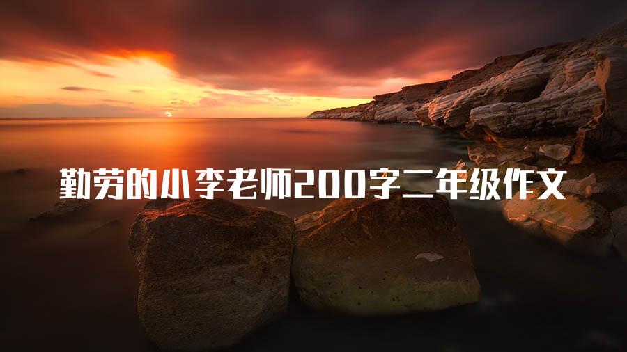 勤劳的小李老师200字二年级作文