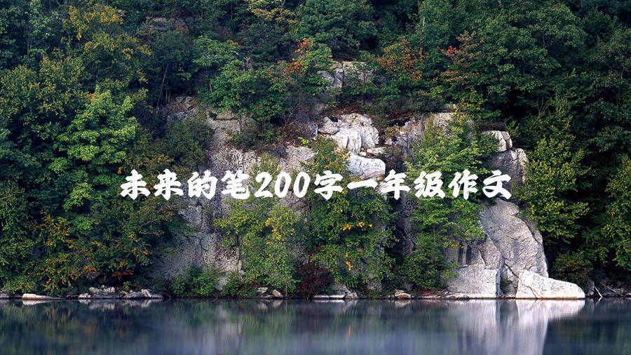 未来的笔200字一年级作文