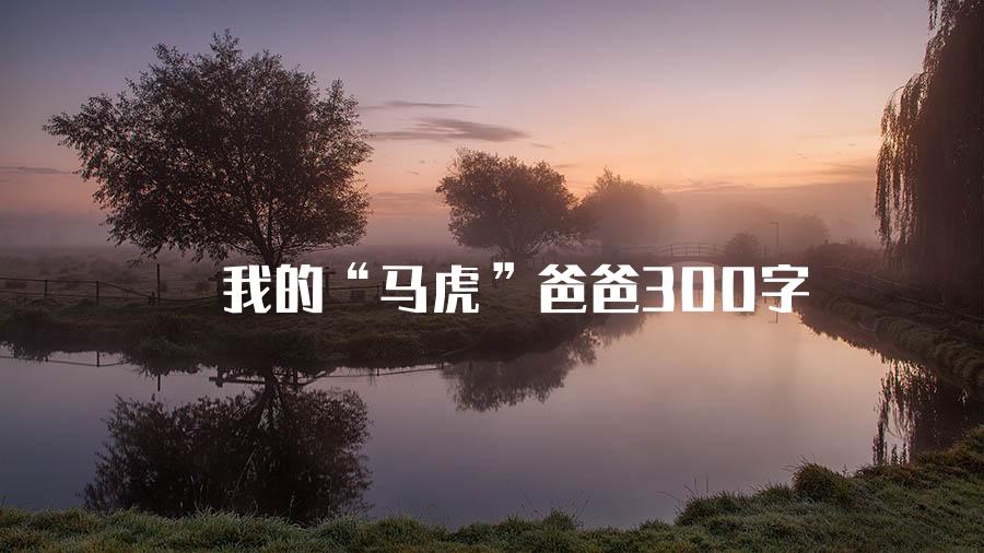 我的“马虎”爸爸300字