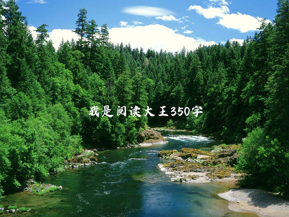 我是阅读大王350字